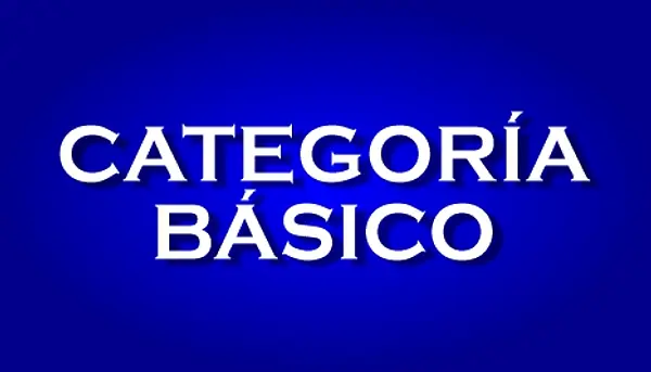 CATEGORÍA BÁSICO