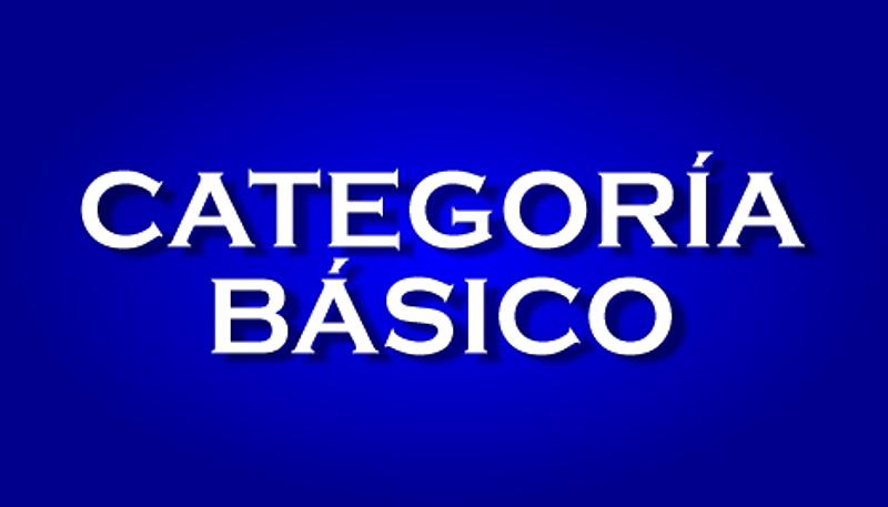 CATEGORÍA BÁSICO